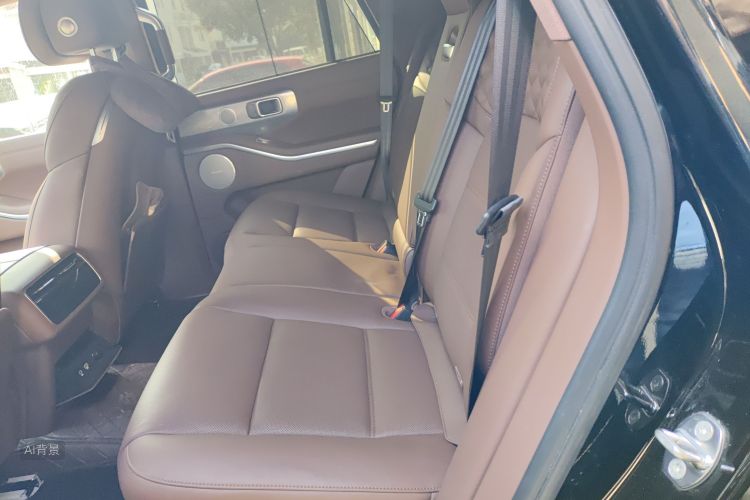 Tank 700 New Energy 2024 #19 Tank 700 New Energy 2024 car image #19