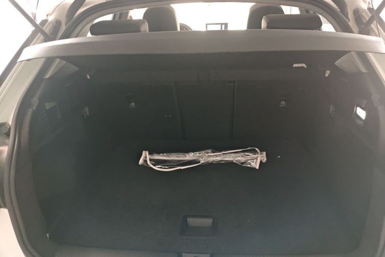 Audi Q2L e-tron 2020 car image #19