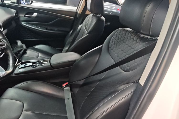 Hyundai Santa Fe 2022 car image #19