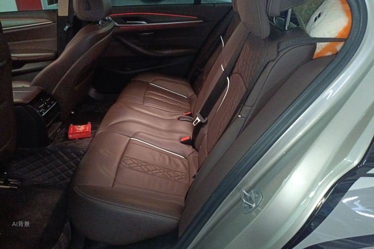 BMW 5 Series New Energy 2020 car image #19