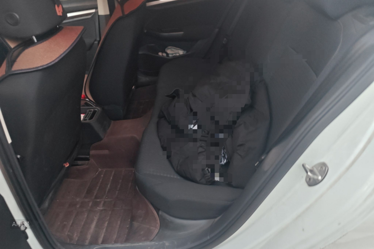 大众 宝来 2019 汽车图片 #19