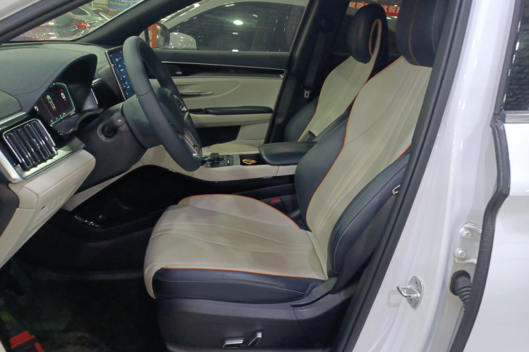 BYD Song Plus New Energy 2021 #19 BYD Song Plus New Energy 2021 car image #19