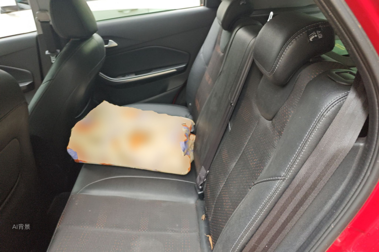 Chery Tiggo 3x 2019 car image #19