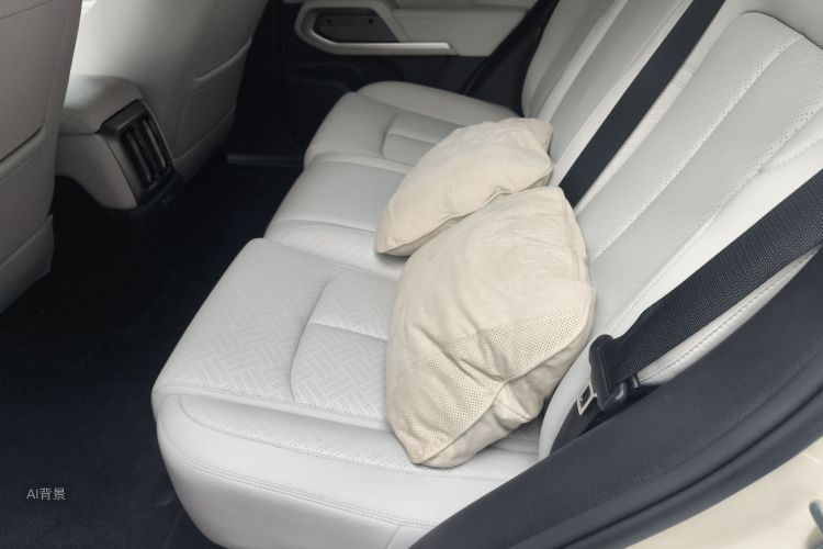 FangChengBao Tiger 3 2025 car image #19