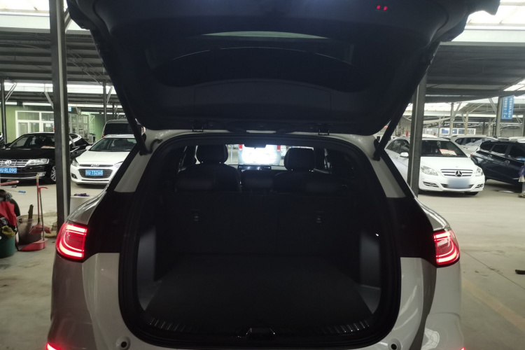 BYD Sea Lion 06 New Energy 2025 car image #19