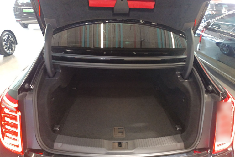 HongQi H9 2021 #19 HongQi H9 2021 car image #19