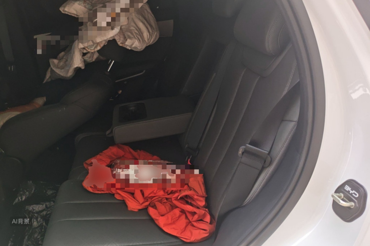 BYD SongL DM-i 2025 car image #19