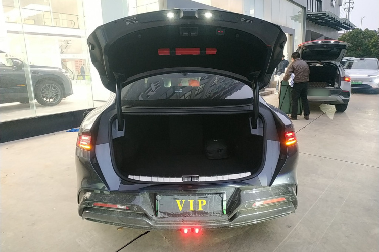 Denza Z9 2024 car image #19