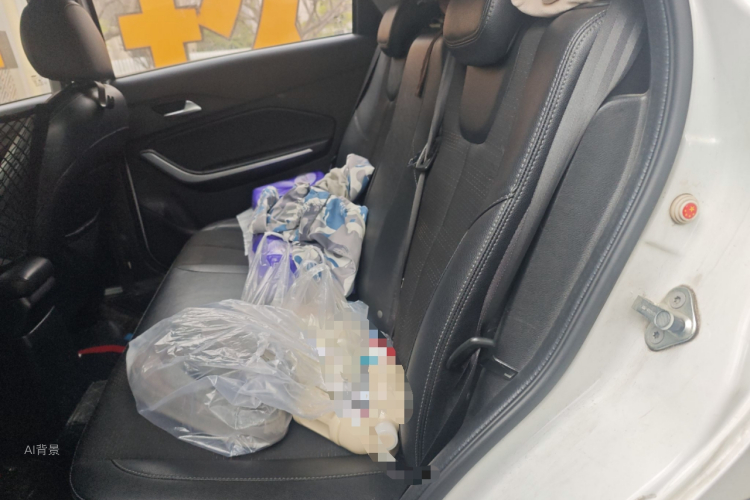 Chery Tiggo 3x 2018 car image #19