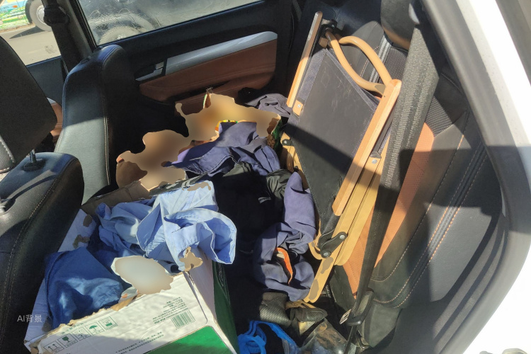 Kaiyi X3 2016 car image #19