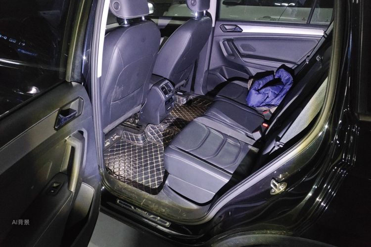 Volkswagen Tiguan L 2019 car image #19
