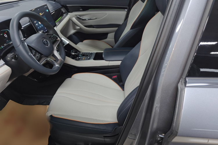 BYD Song Plus New Energy 2021 car image #19