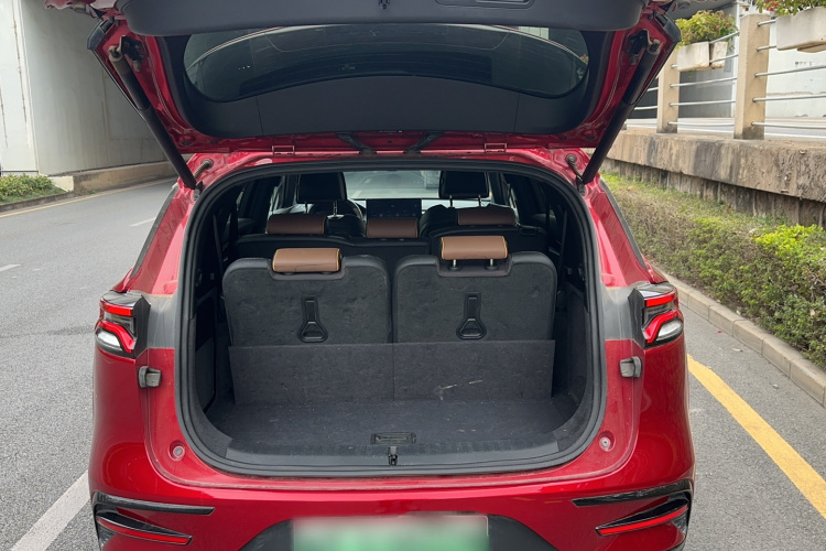 BYD Tang New Energy 2022 car image #19