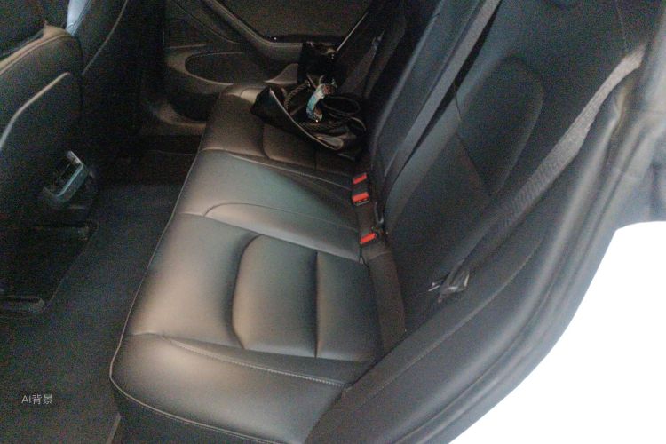 Tesla Model 3 2021 #19 Tesla Model 3 2021 car image #19