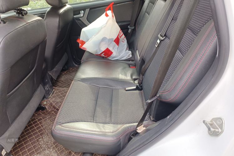 Chery Tiggo 3 2017 car image #19