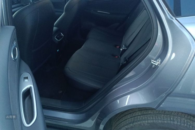 BYD Sea Lion 06 New Energy 2025 car image #19