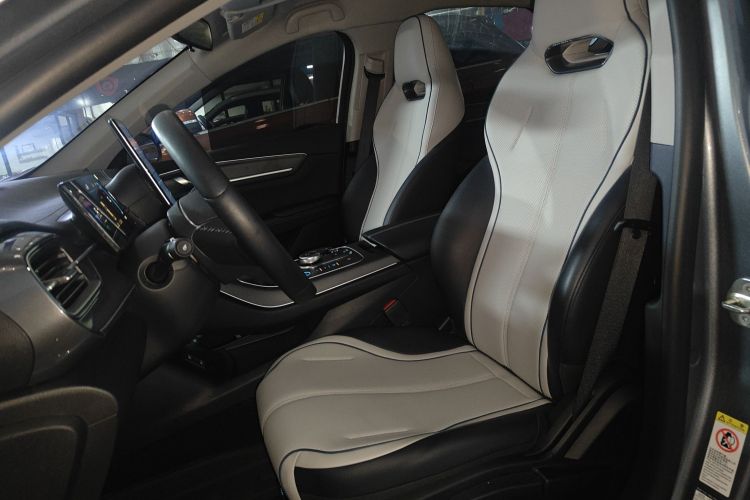 BYD Destroyer 05 2024 صورة سيارة #19