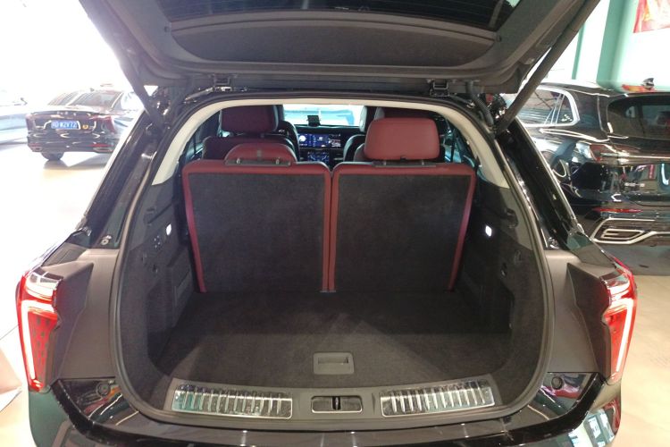 HongQi E-HS9 2021 صورة سيارة #19