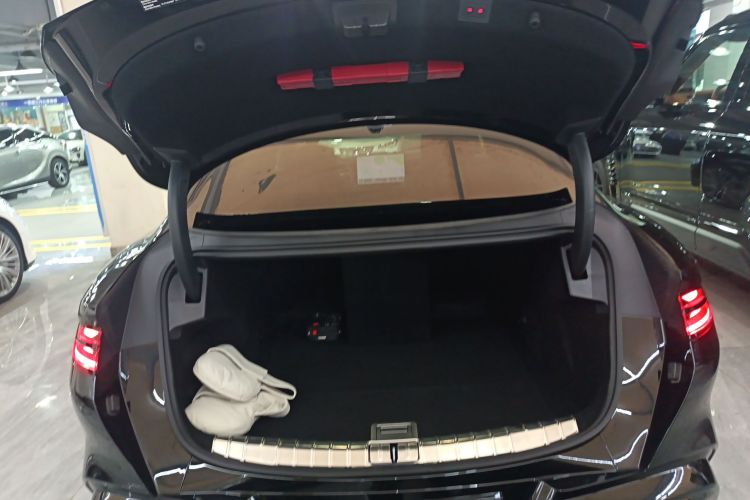 Denza Z9 2024 immagine di auto #19