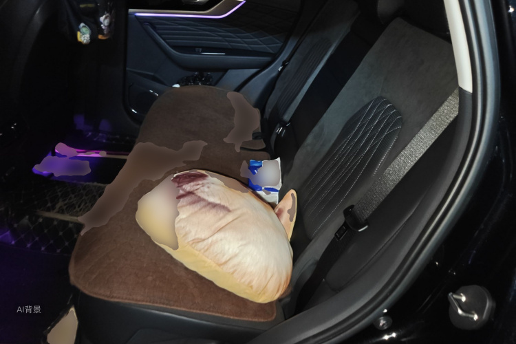 HongQi HS5 2022 car image #19