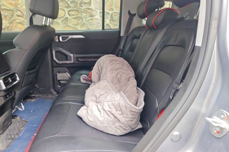 Jetour Traveller 2024 car image #19