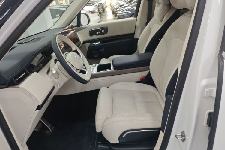 Zeekr 9X 2025 car image #19