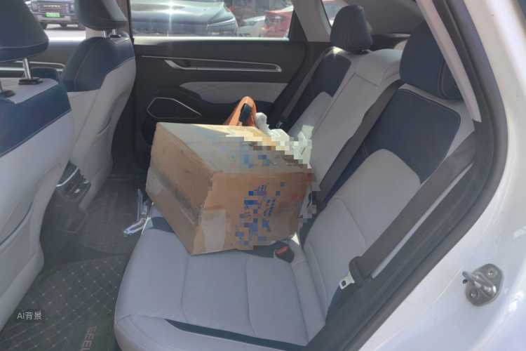 GEELY Emgrand 2021 car image #19