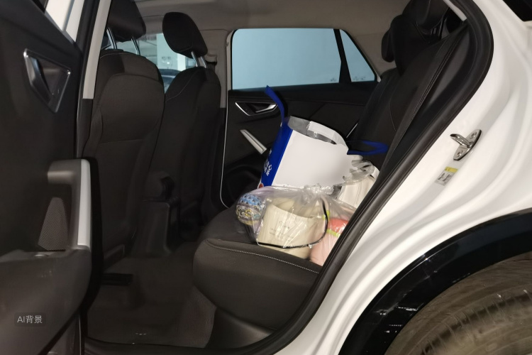 Q2L 2021 car image #19