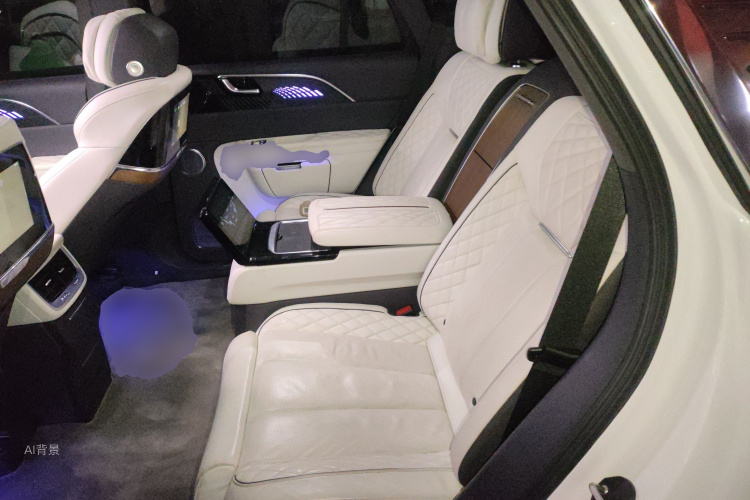 HongQi E-HS9 2022 car image #19