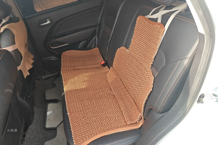 GAC Qizhi EV 2019 car image #19