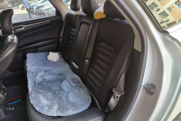 Ford Mondeo 2015 car image #19