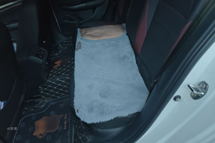 Volkswagen Bora 2021 imagem de carro #19