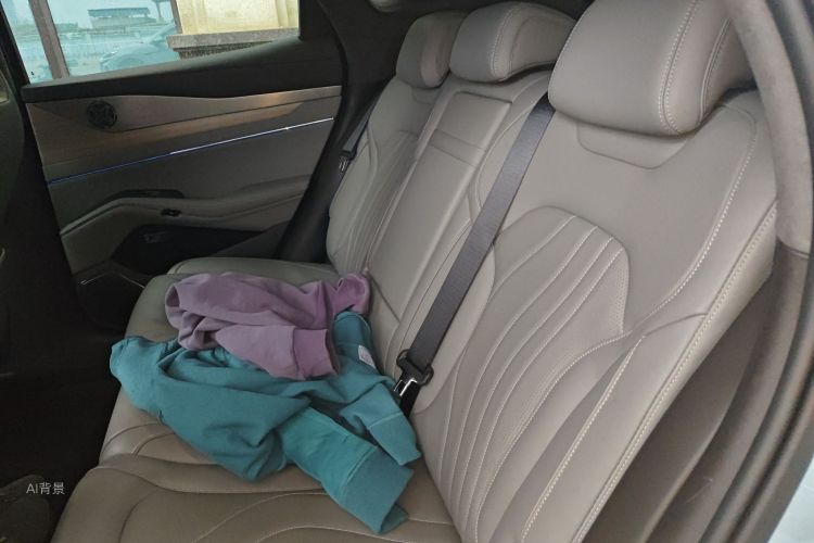 Denza N7 2023 car image #19