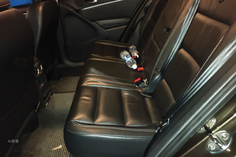 Volkswagen Tiguan 2016 car image #19