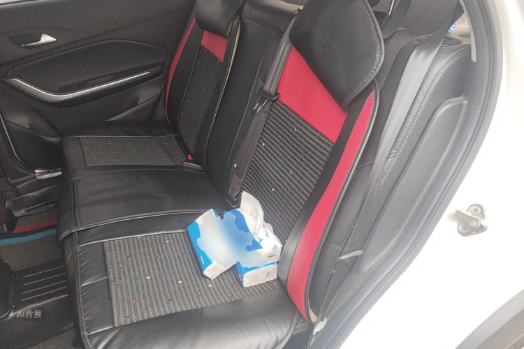 Tiggo 3x 2019 car image #19