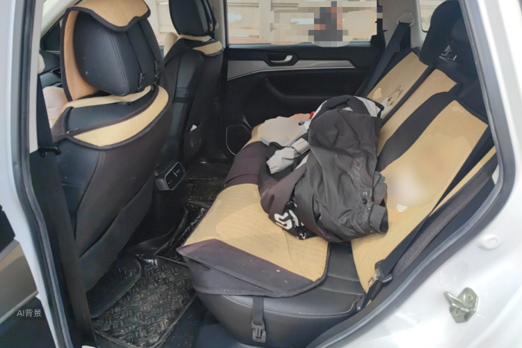 Haval H6 2018 car image #19