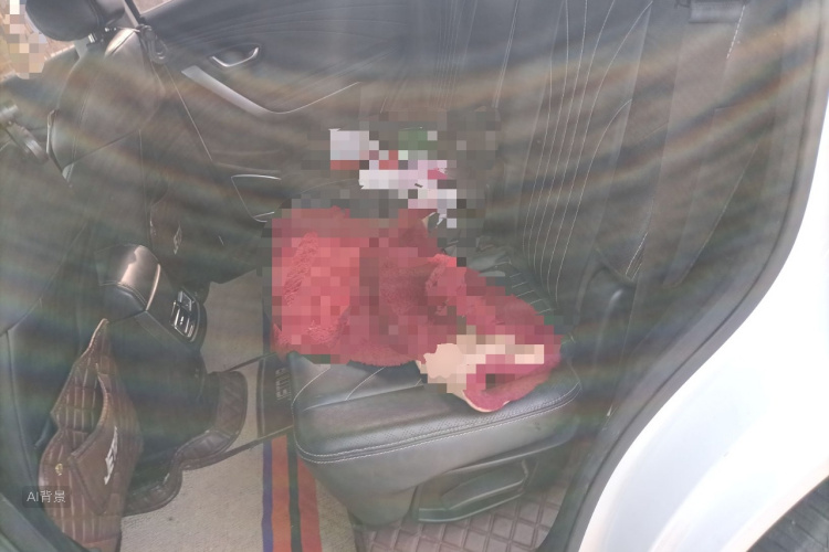 Jetour X70 2018 изображение автомобиля #19