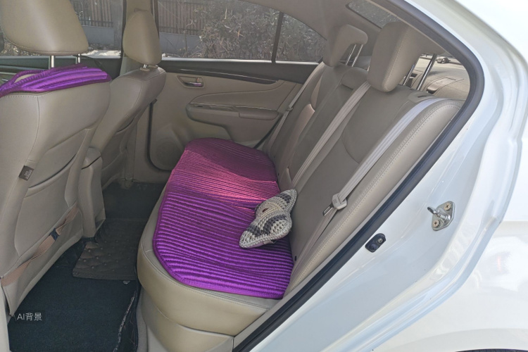 铃木 启悦 2017 汽车图片 #19