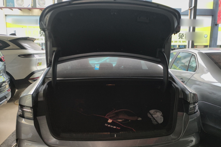 BYD Destroyer 05 2023 imagen de coche #19