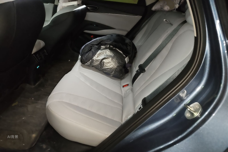 BYD Seal 06 DM-i 2025 car image #19