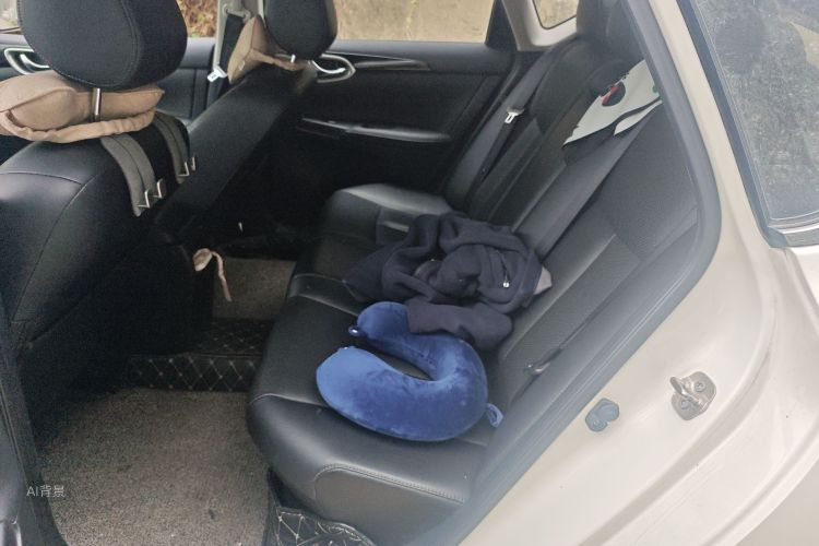 日产 轩逸 2019 汽车图片 #19