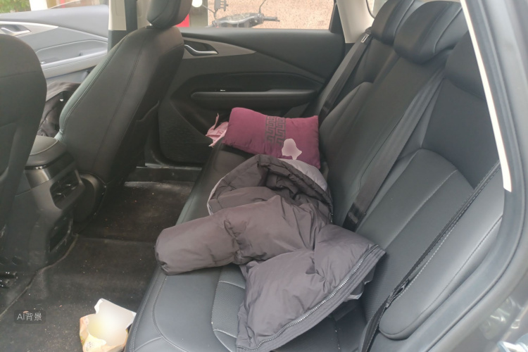 Wuling Starlight 2024 car image #19