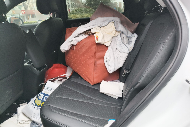 BYD Sea Lion 06 New Energy 2025 car image #19