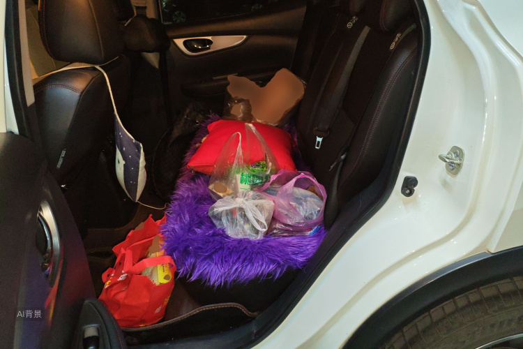 日产 逍客 2020 汽车图片 #19