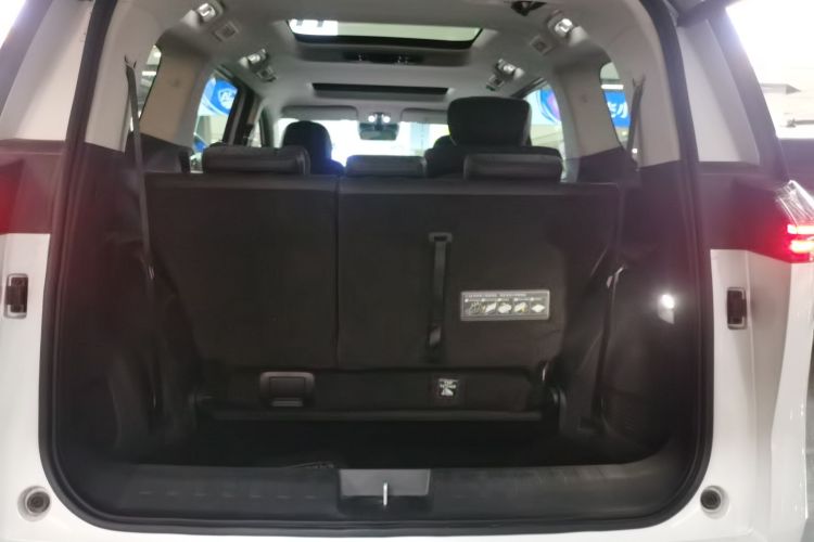 GAC Trumpchi E8 2025 car image #19