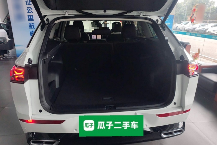 Volkswagen Tavendor 2023 car image #19