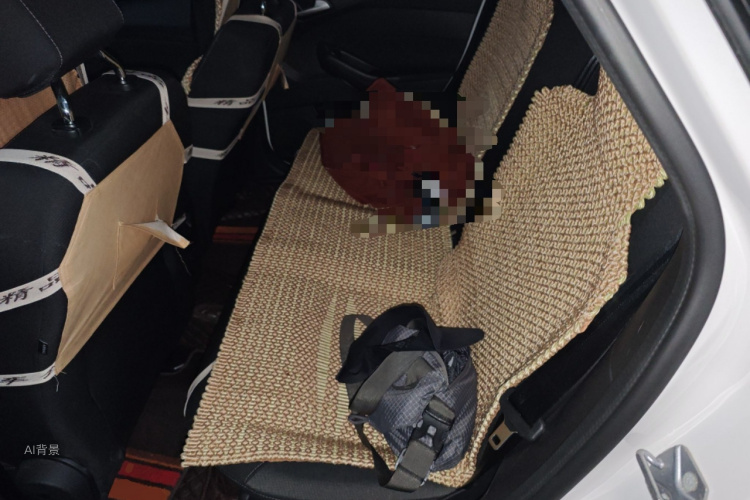 Ford Focus 2018 car image #19