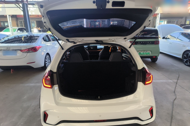 睿蓝汽车 睿蓝汽车X3 PRO 2023 汽车图片 #19