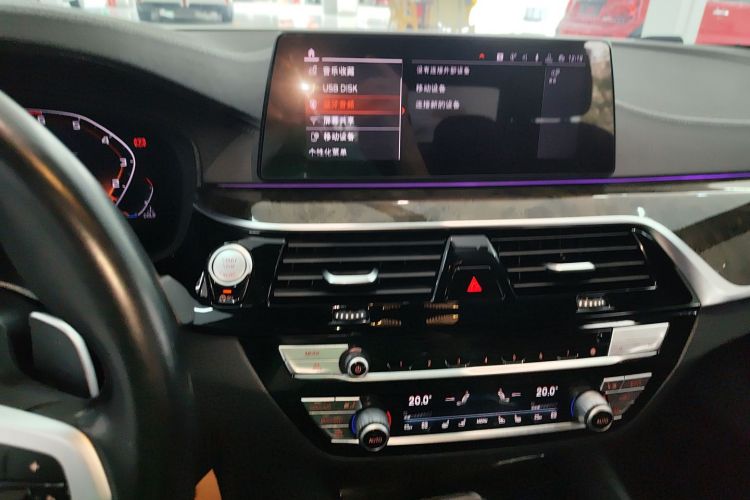 BMW 5 Series 2020 car image #19
