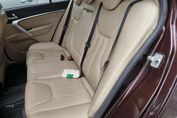 Emgrand 2016 car image #19